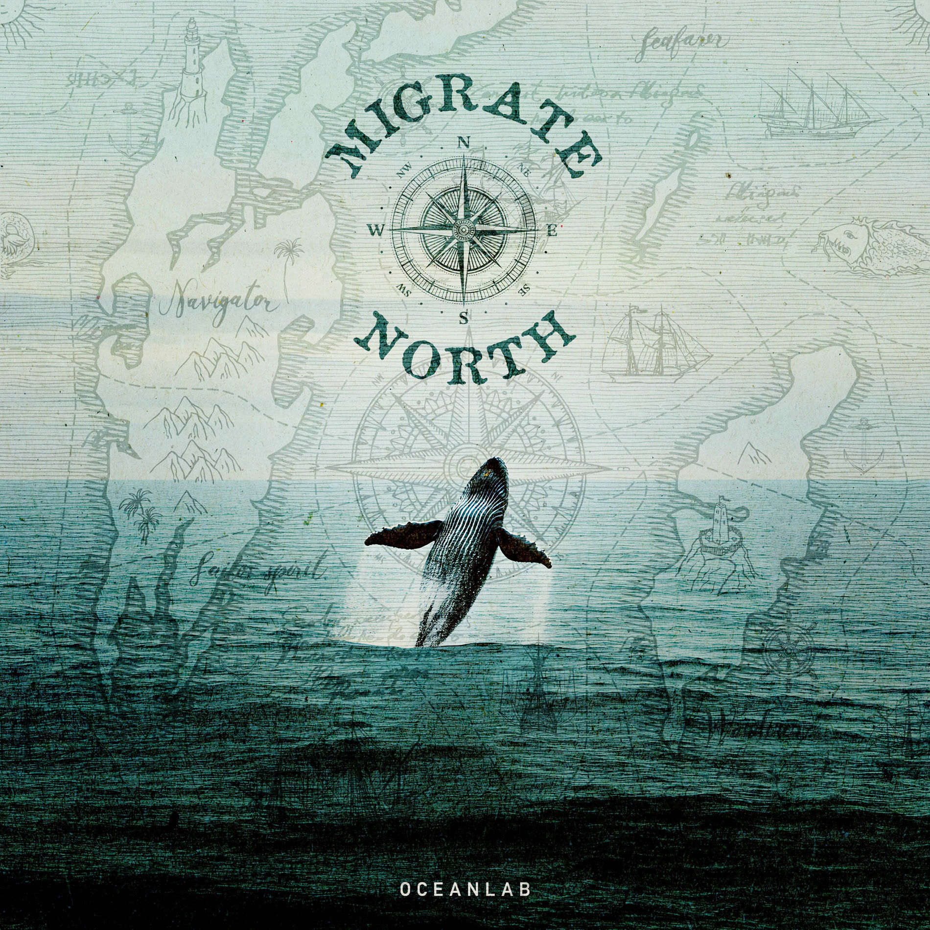 Album cover of Migrate North