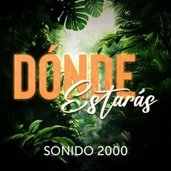 Cover of Dónde Estarás