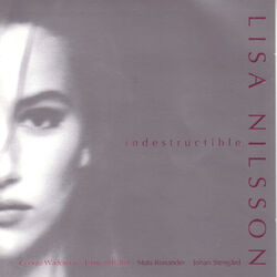 Cover of Indestructible
