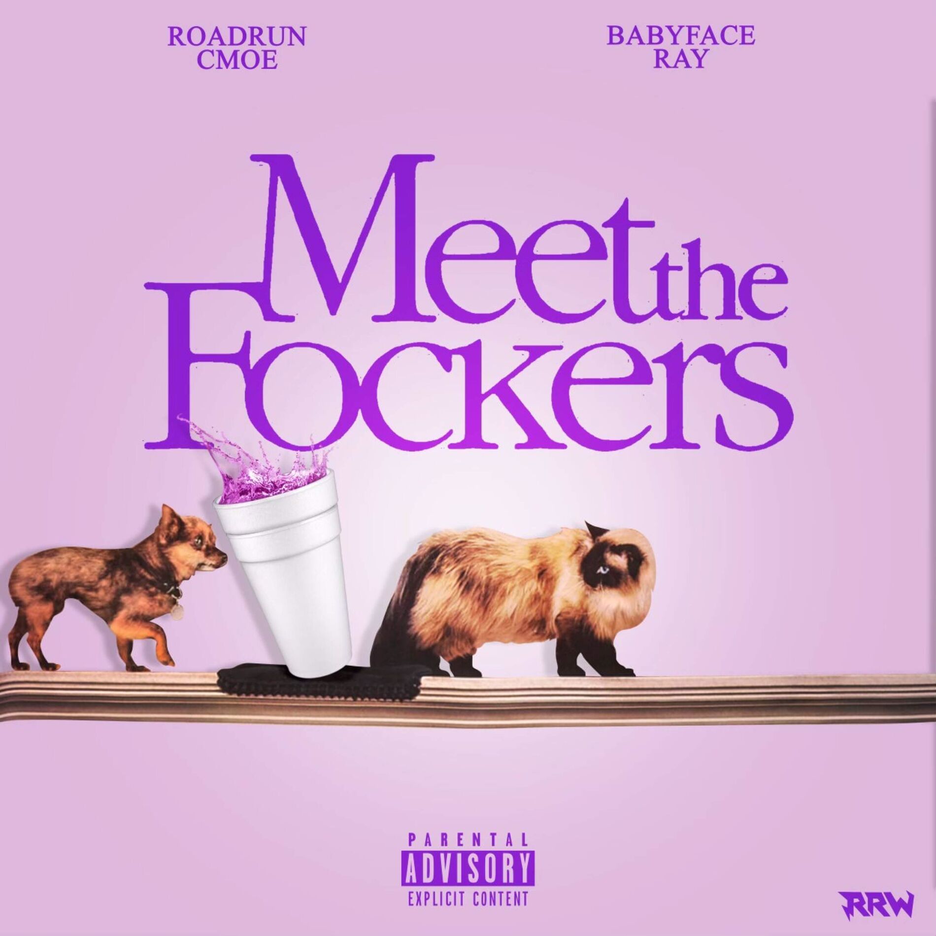 Album cover of Meet the Fockers (feat. Babyface Ray)