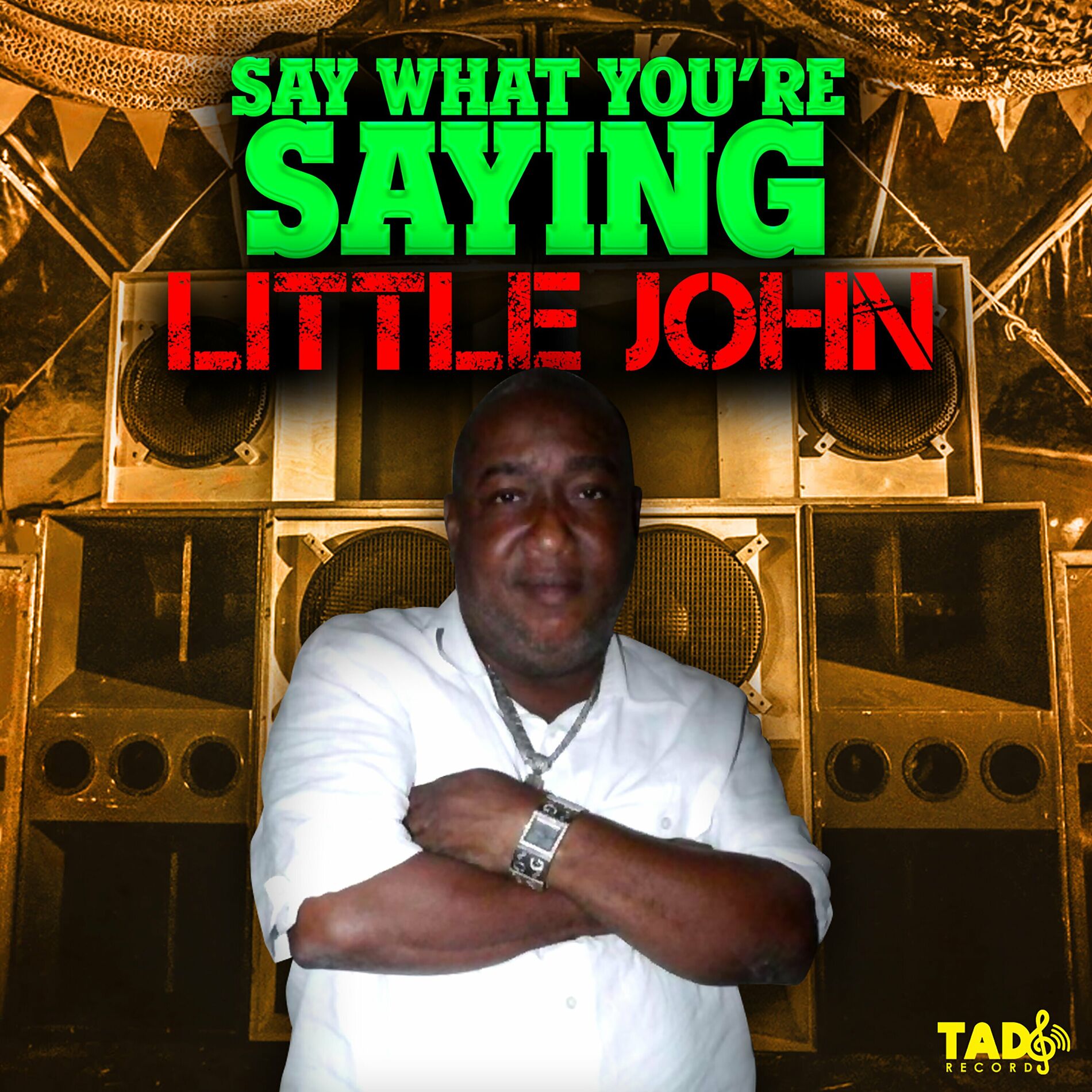 Album cover of Say What You're Saying