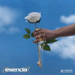 Cover of Esencia