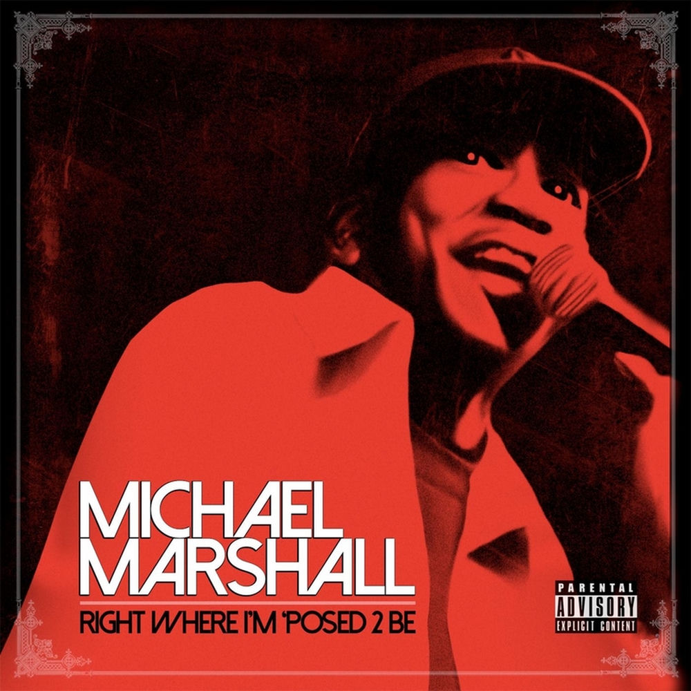 mike marshall musician net worth - Ilustrasi 2