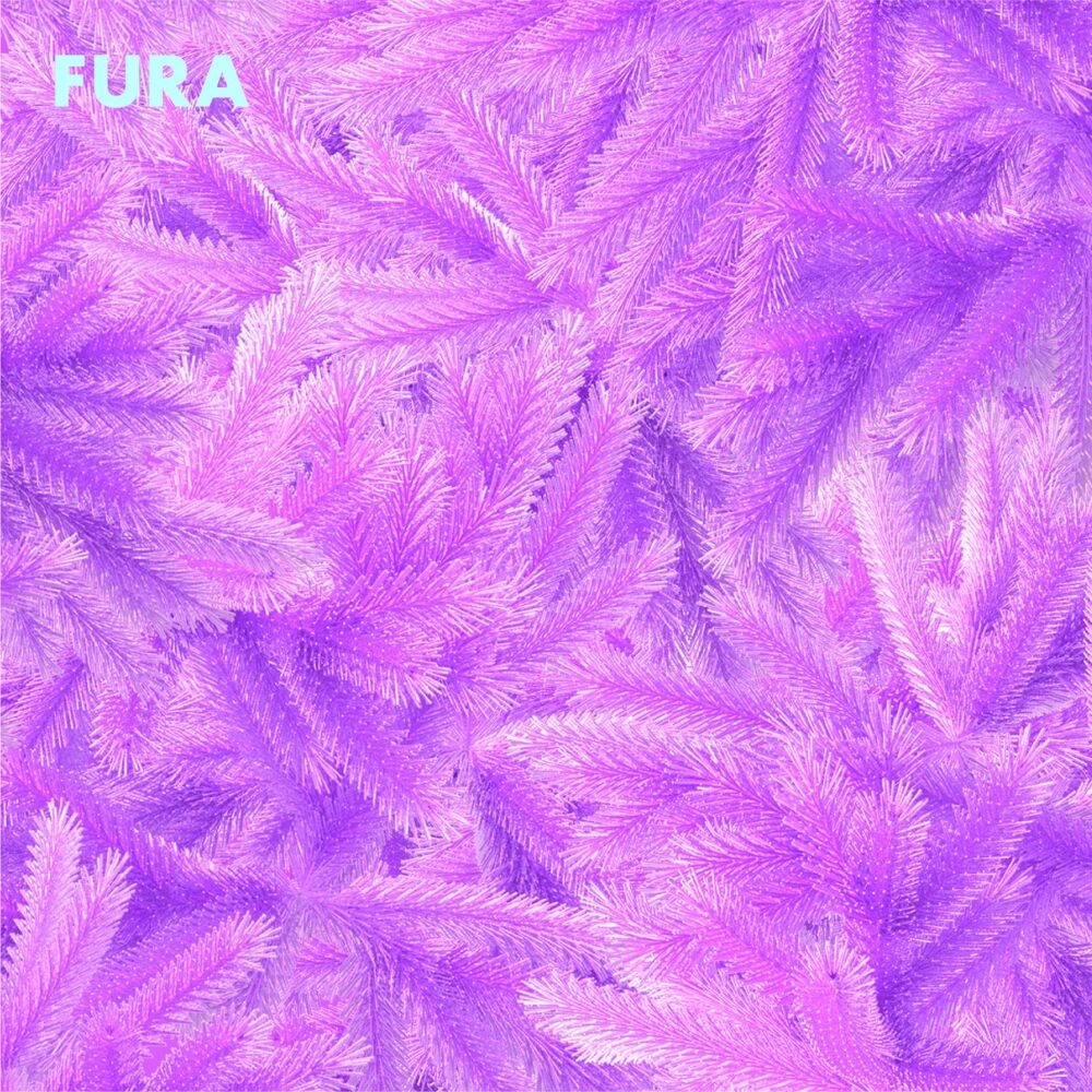 Picture of Fura