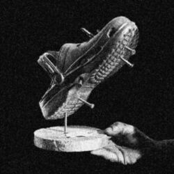 Cover of Crocs on the Plough