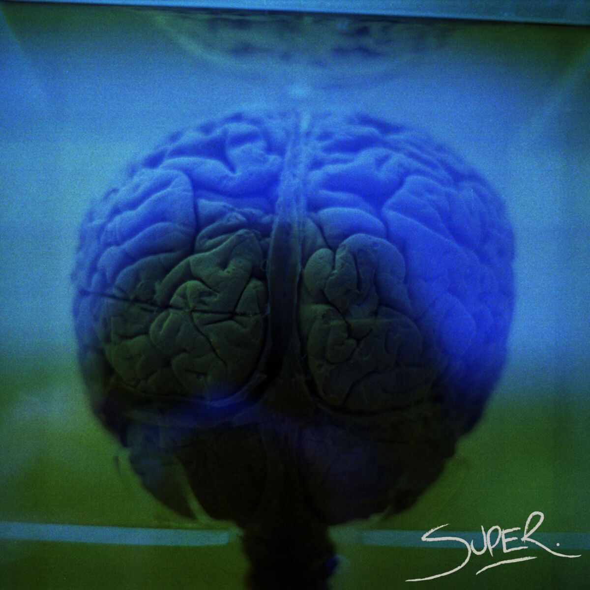 Album cover of Rank Functions EP