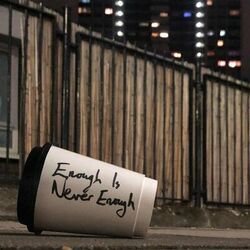 Cover of Enough is Never Enough