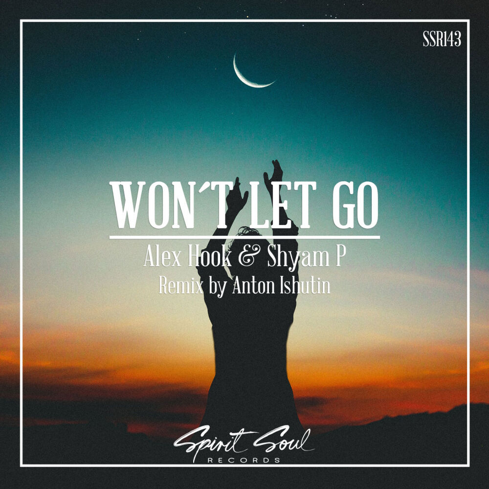 Picture of Won't Let Go