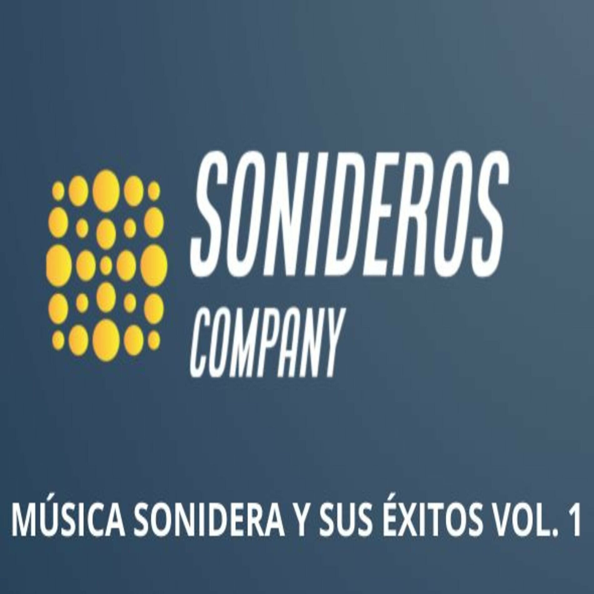 Album cover of Música Sonidera y Sus Éxitos Vol. 1