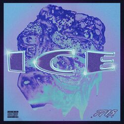 Cover of Ice