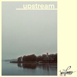 Cover of upstream