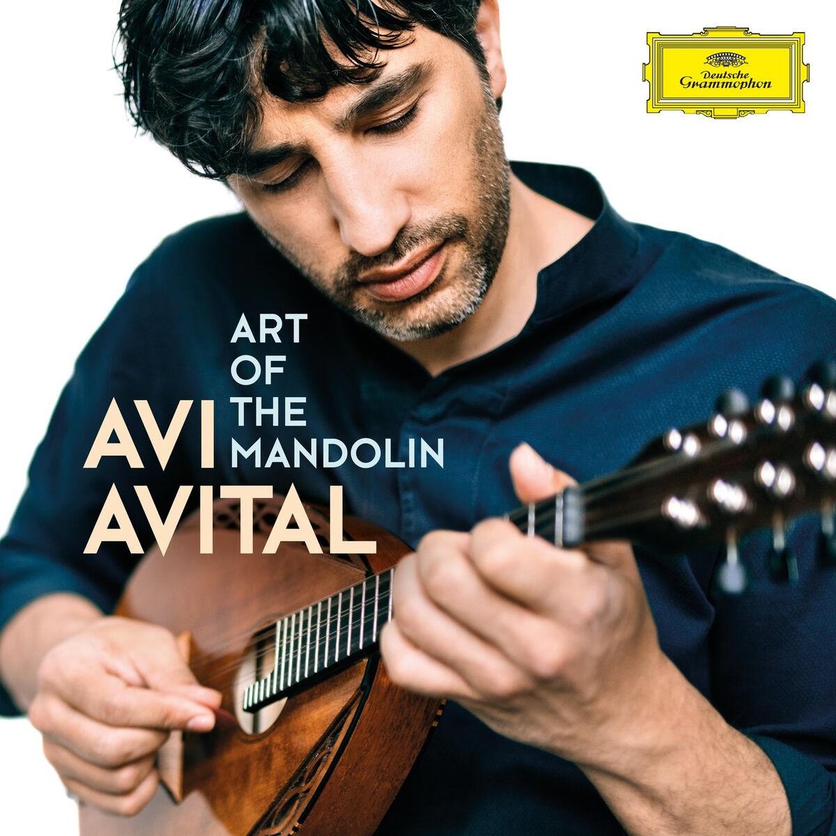Album cover of Concerto for 2 Mandolins in G Major, RV 532 : Vivaldi: Concerto for 2 Mandolins in G Major, RV 532 - III. Allegro