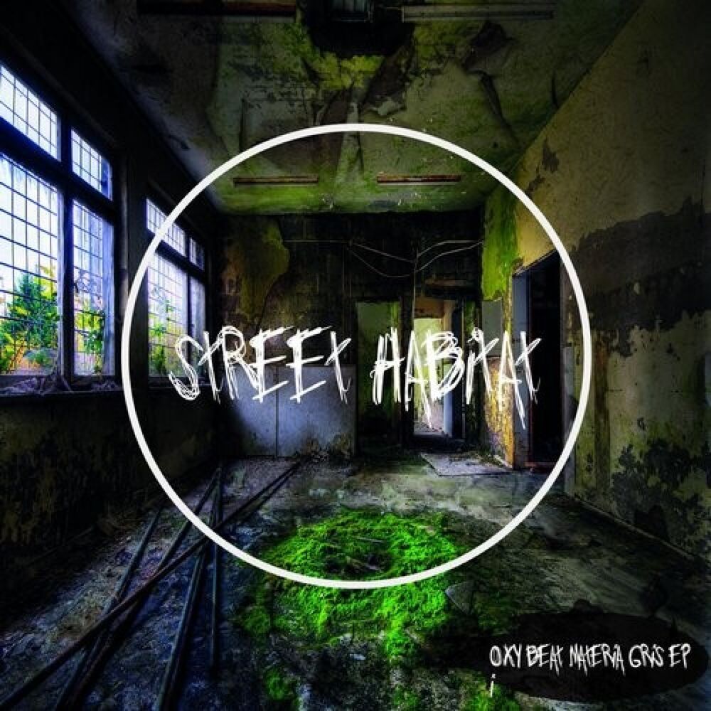 Picture of Materia Gris EP