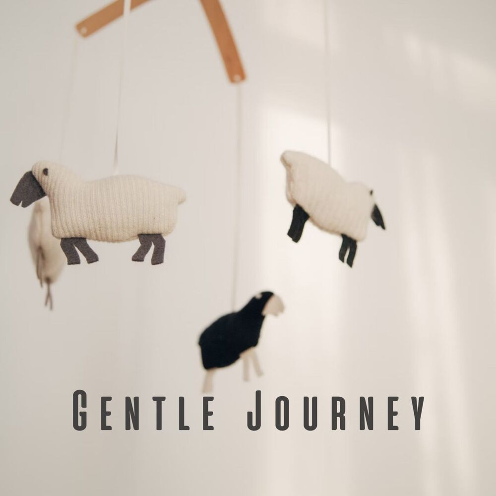 Picture of Gentle Journey: Meditative Sounds for Baby's Well-Being