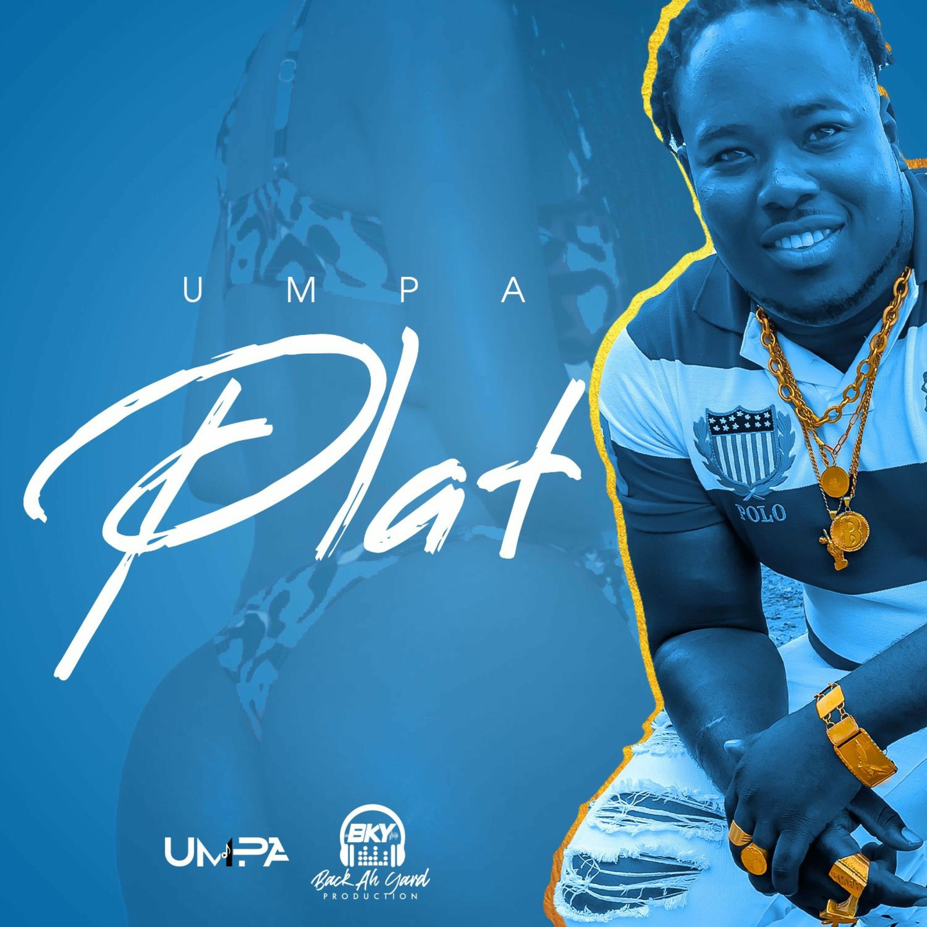 Album picture of Plat