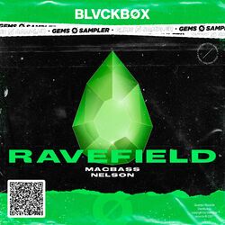 Cover of Ravefield