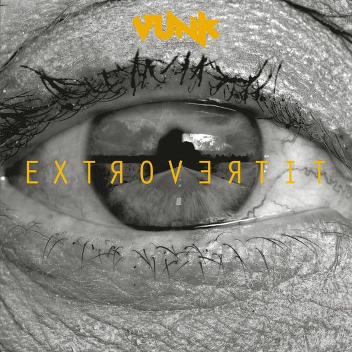 Album cover of Extrovertit