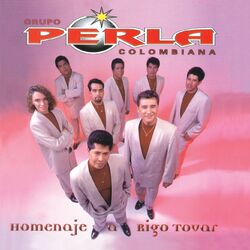 Cover of Homenaje A Rigo Tovar