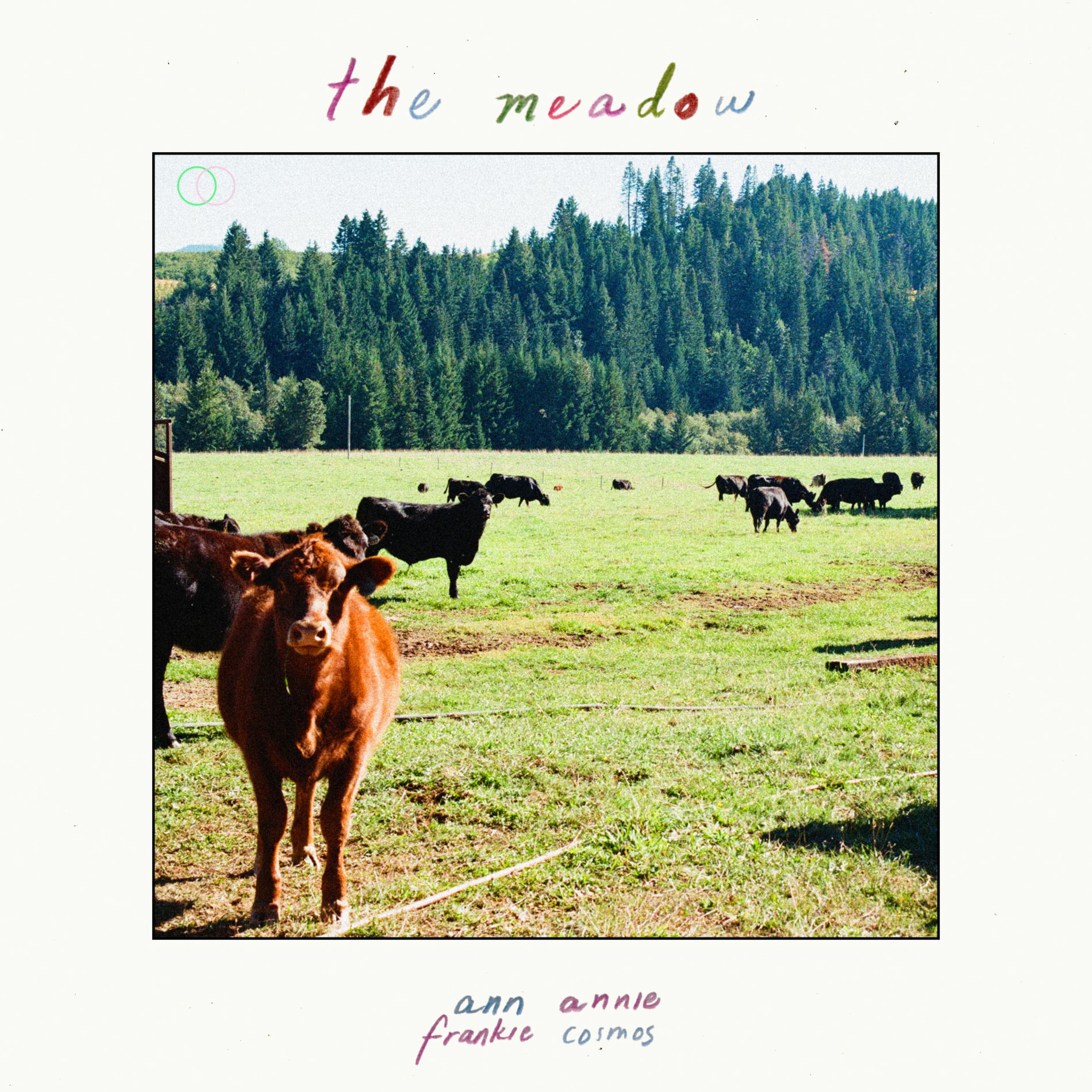 Album cover of the meadow