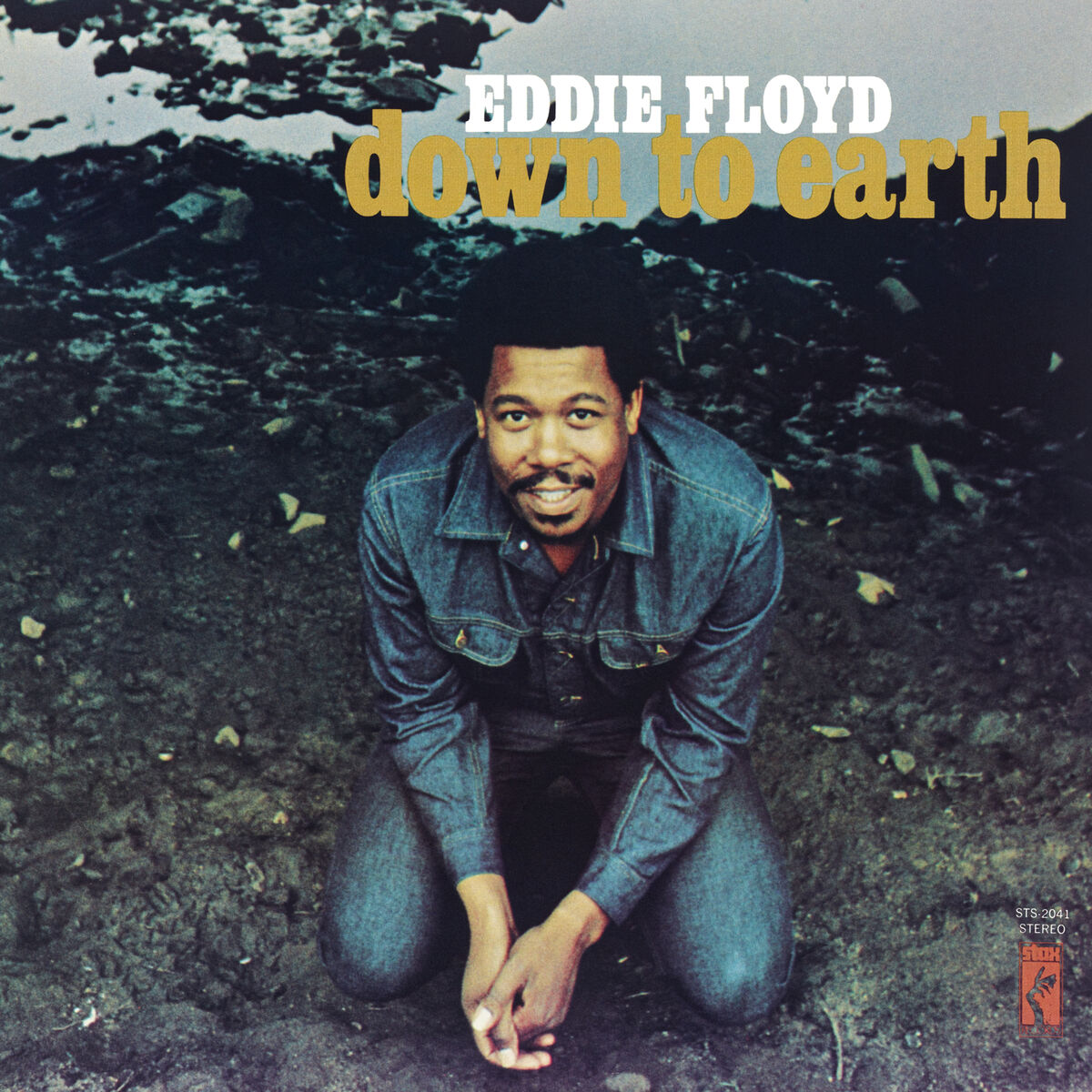 Album cover of Down To Earth