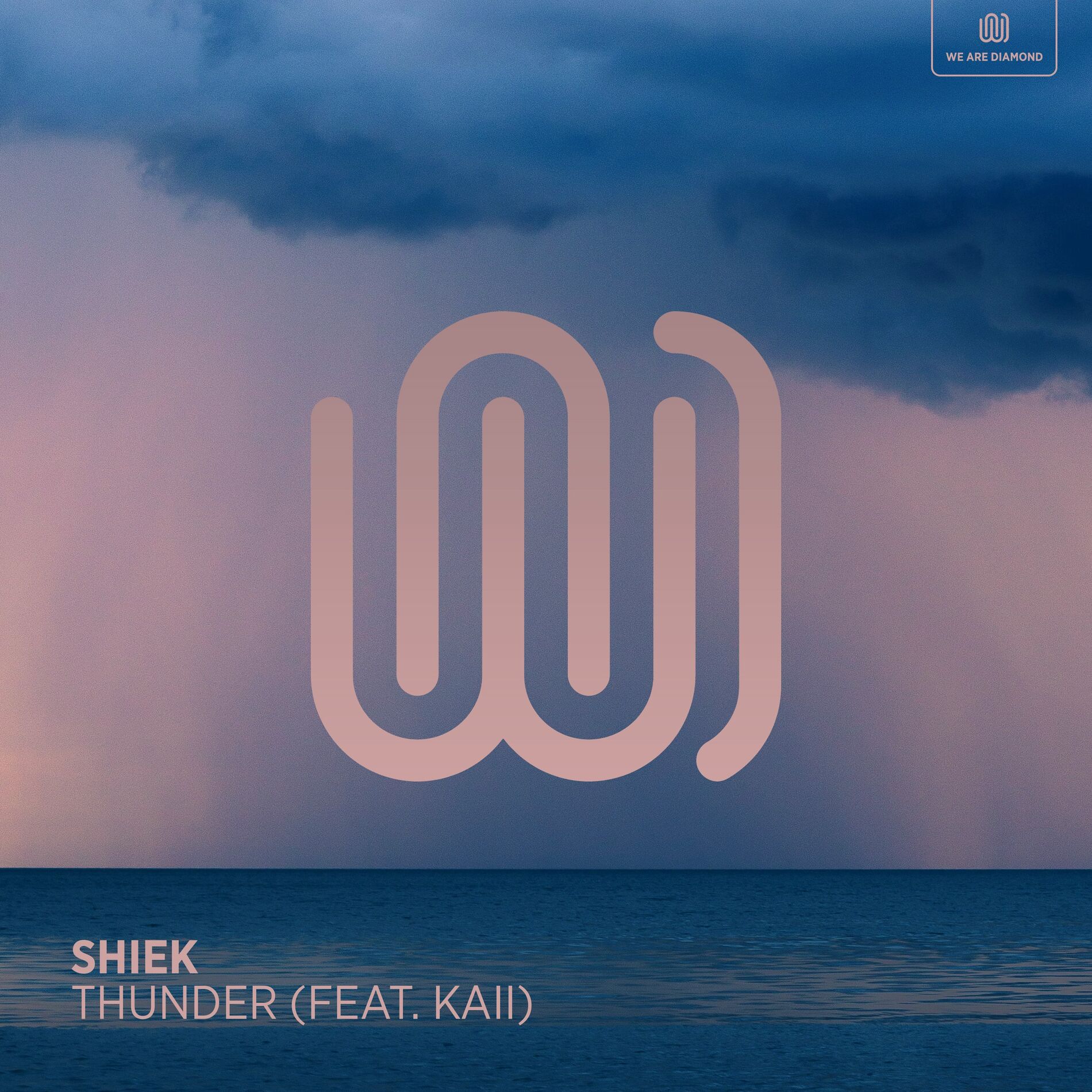 Album cover of Thunder