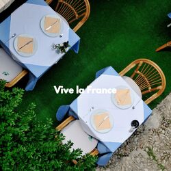 Cover of Vive la France