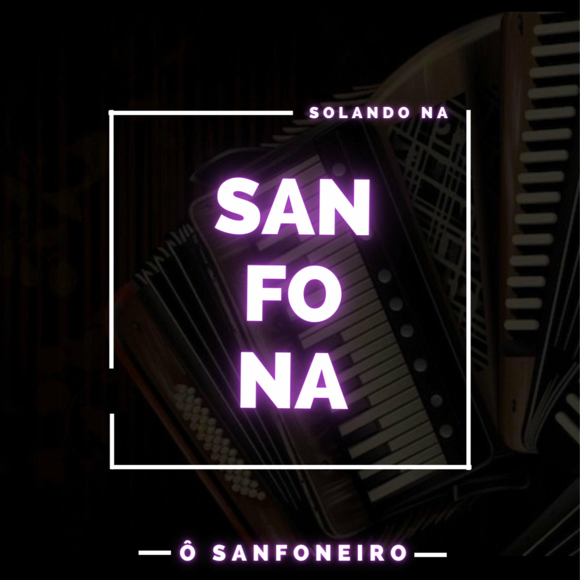 Album cover of Solando na Sanfona