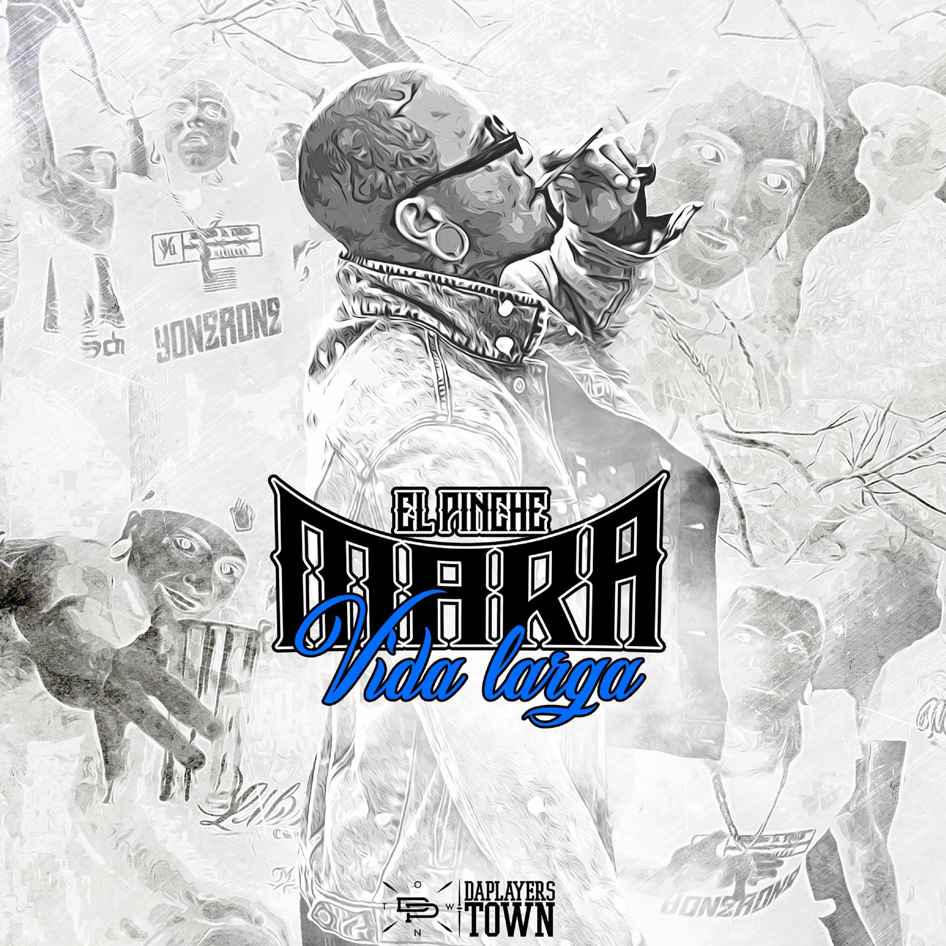 Album cover of Vida Larga