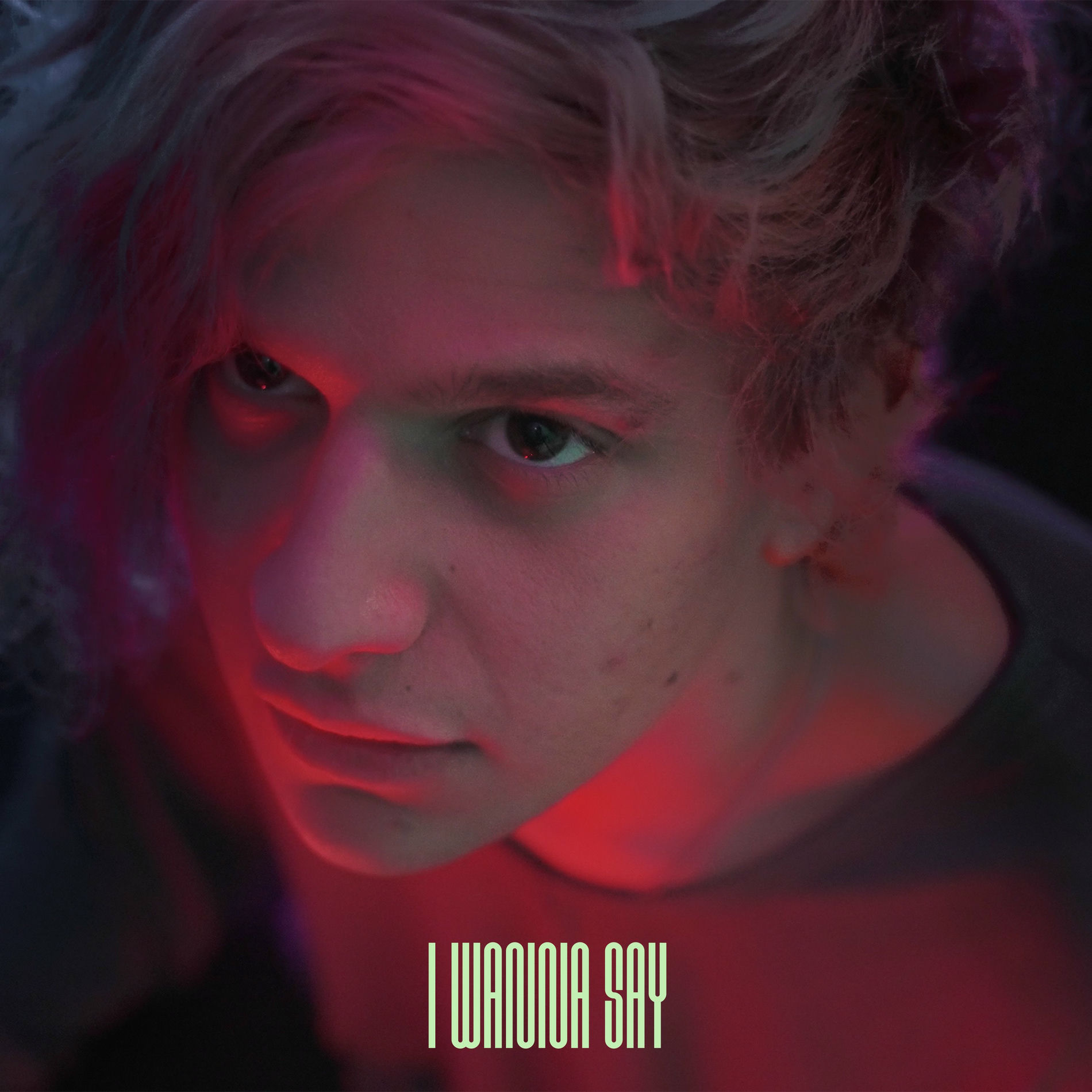Album cover of i wanna say
