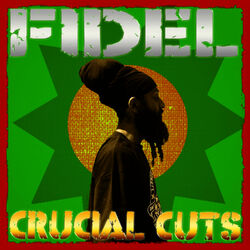 Cover of Crucial Cuts