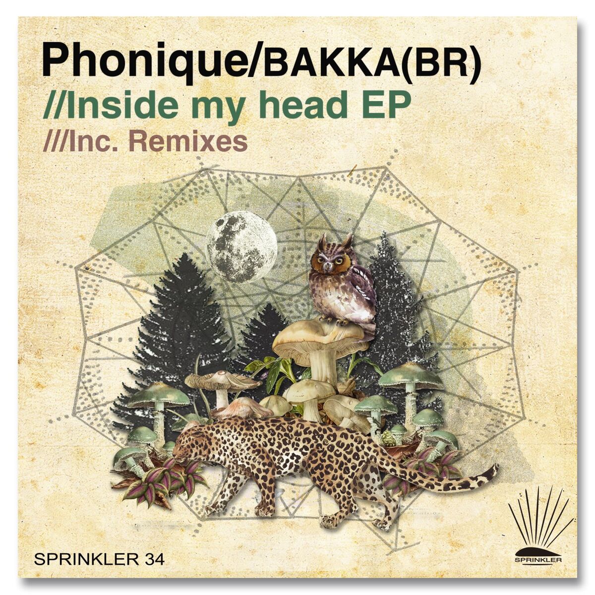 Album cover of Inside My Head