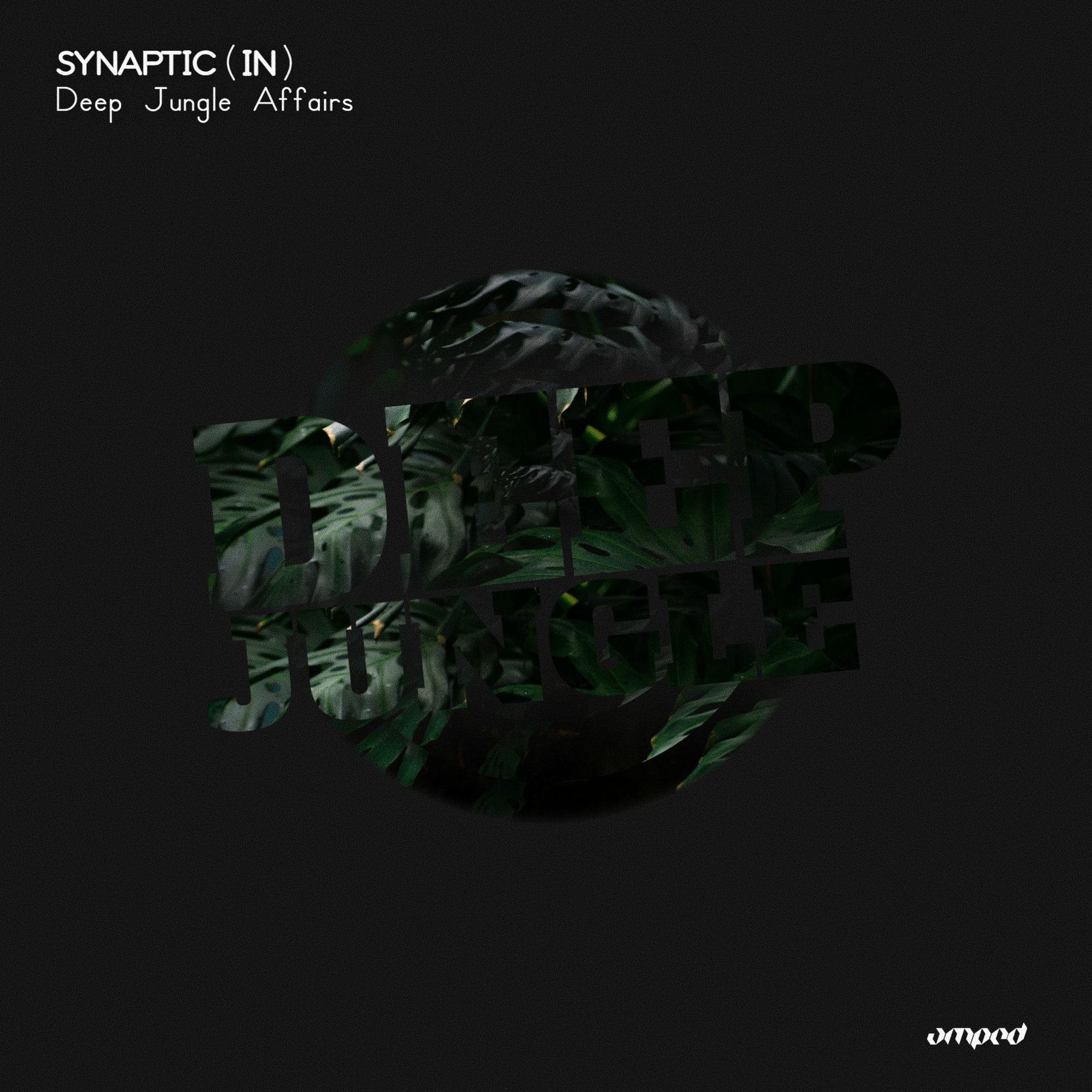 Album cover of Deep Jungle Affairs