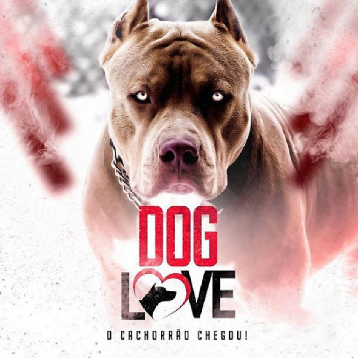 Album cover of O Cachorrão Chegou, Vol. 01
