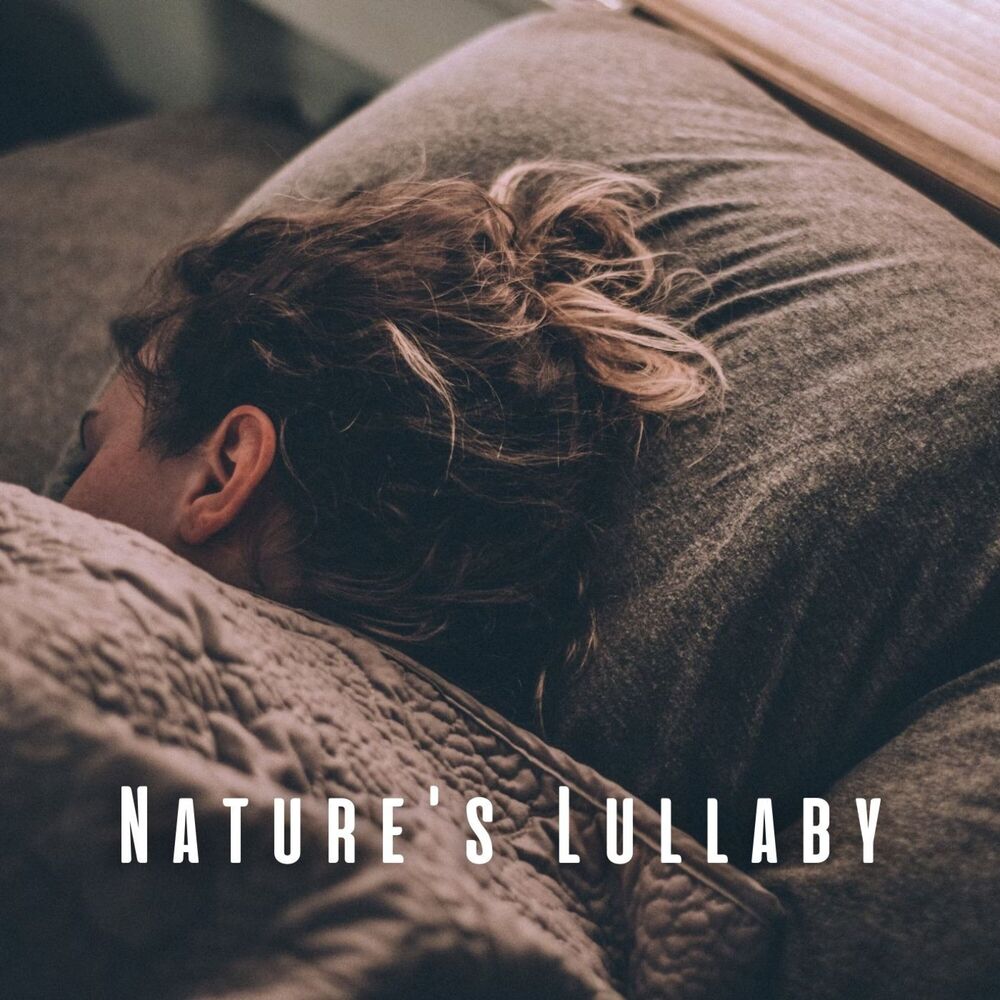 Picture of Nature's Lullaby: Blissful Chill Sounds for Sleep