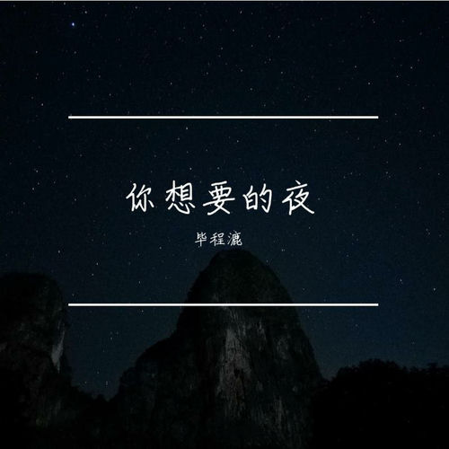 你想要的夜