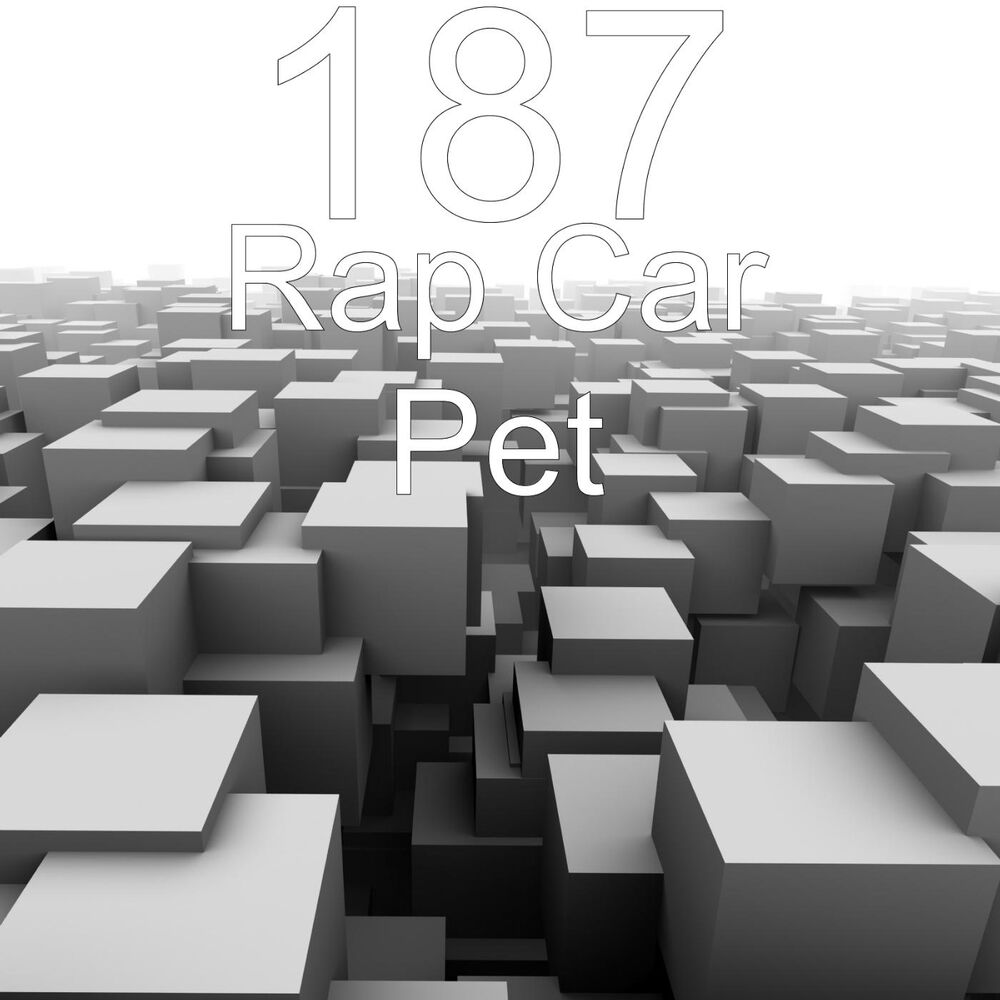 Picture of Rap Car Pet