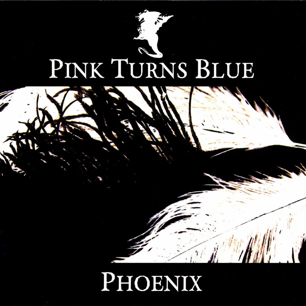 Picture of Phoenix