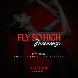 Cover of Fly So High (Freeverse)