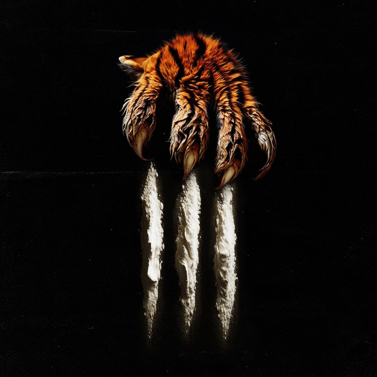Album cover of Tres Rayas