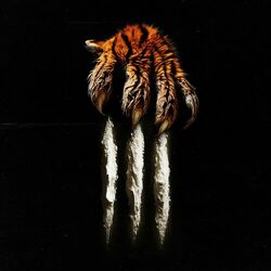 Cover of Tres Rayas