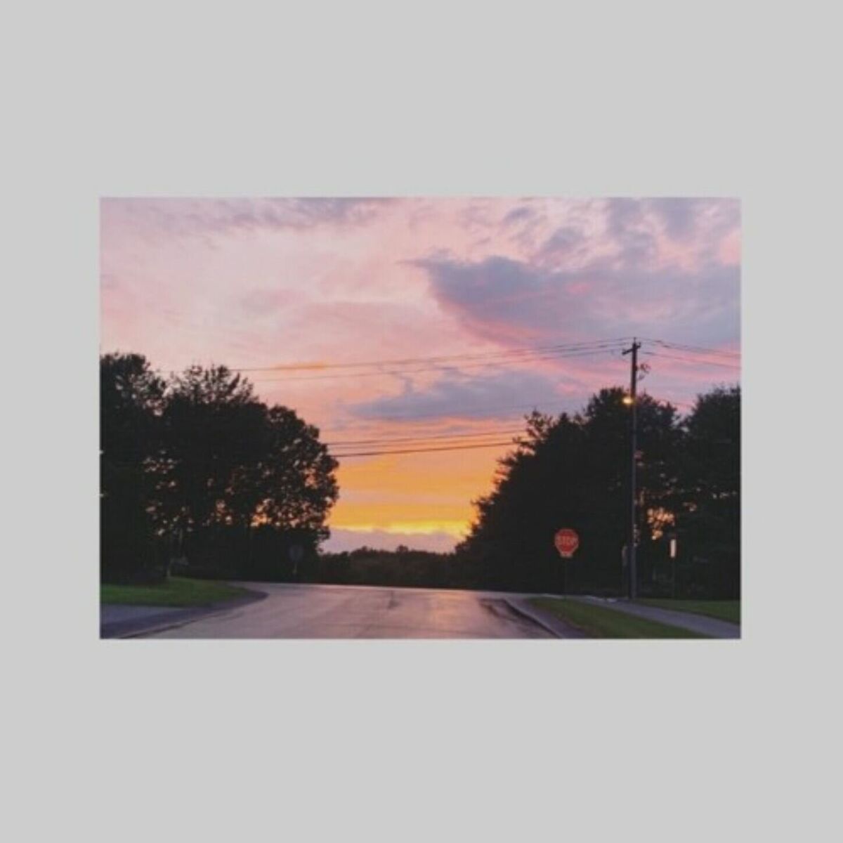 Album cover of Lavender