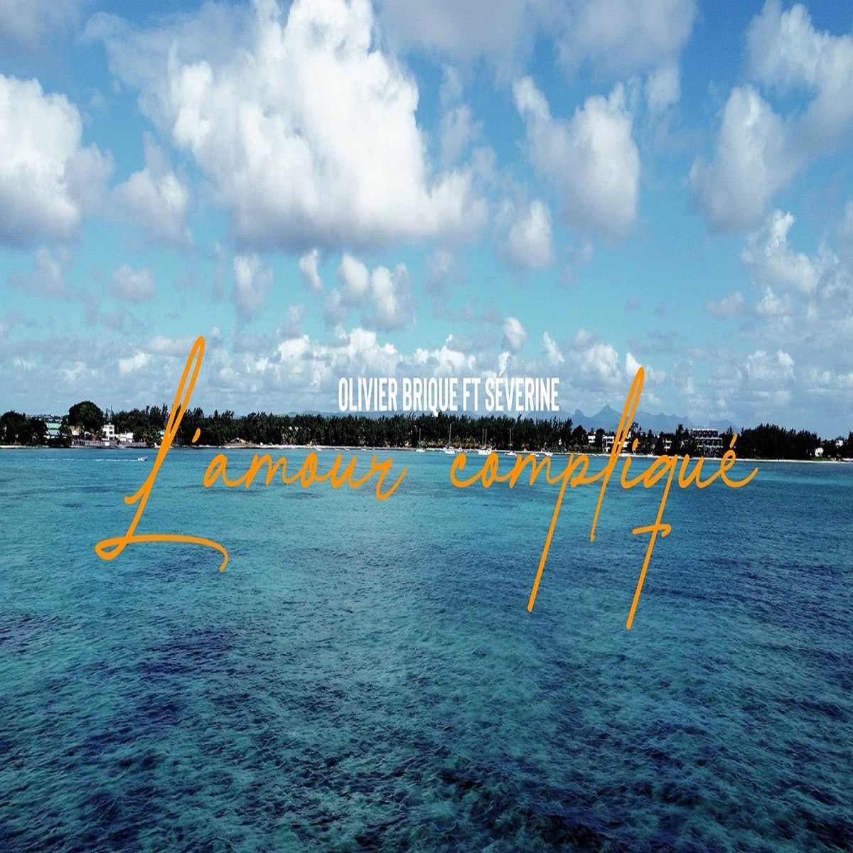 Album cover of L'Amour Compliqué