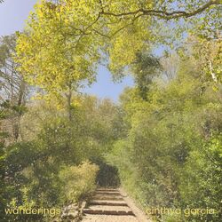 Wanderings