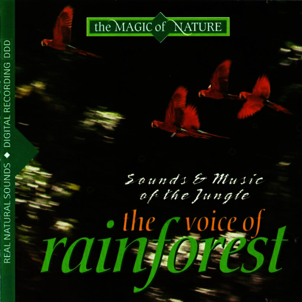Picture of The Voice of Rainforest