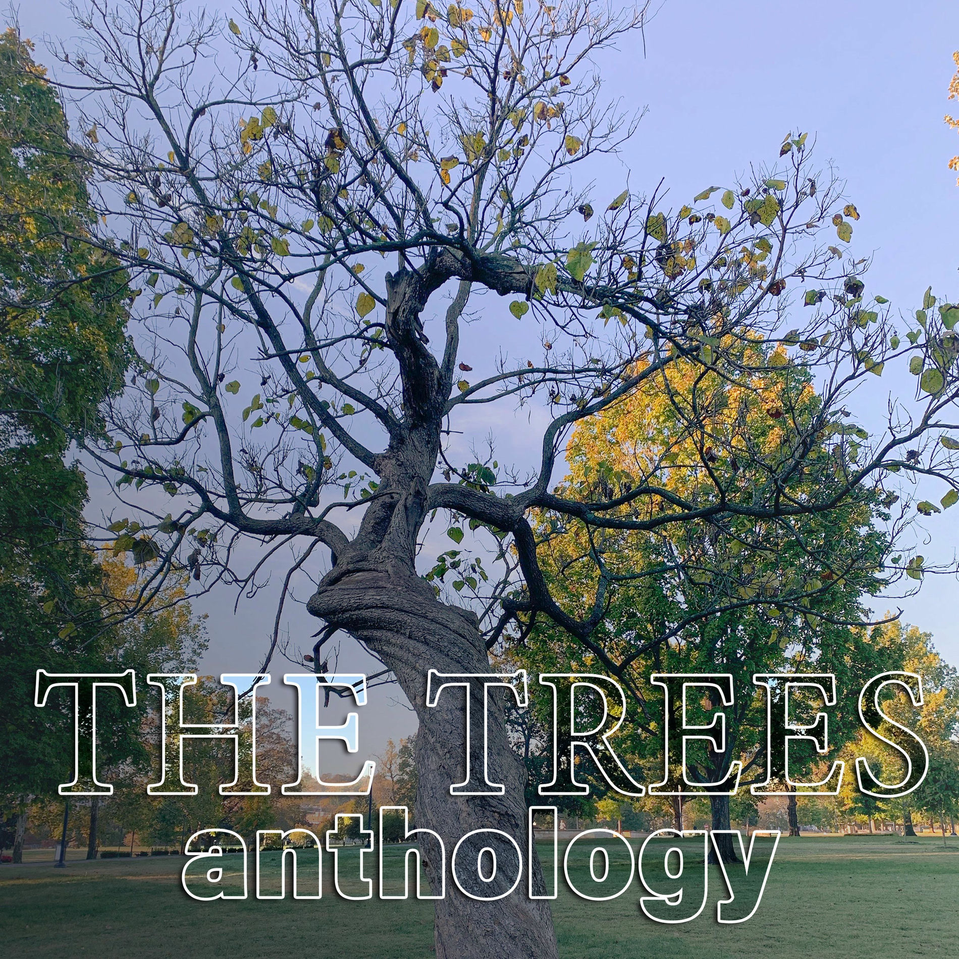 Album cover of The Trees Anthology