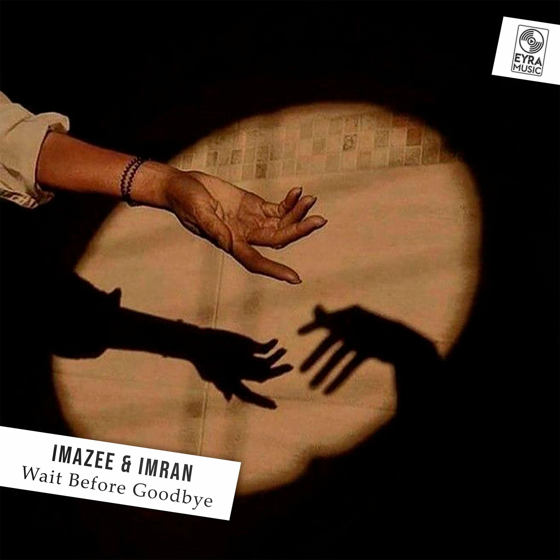 Album cover of Wait Before Goodbye