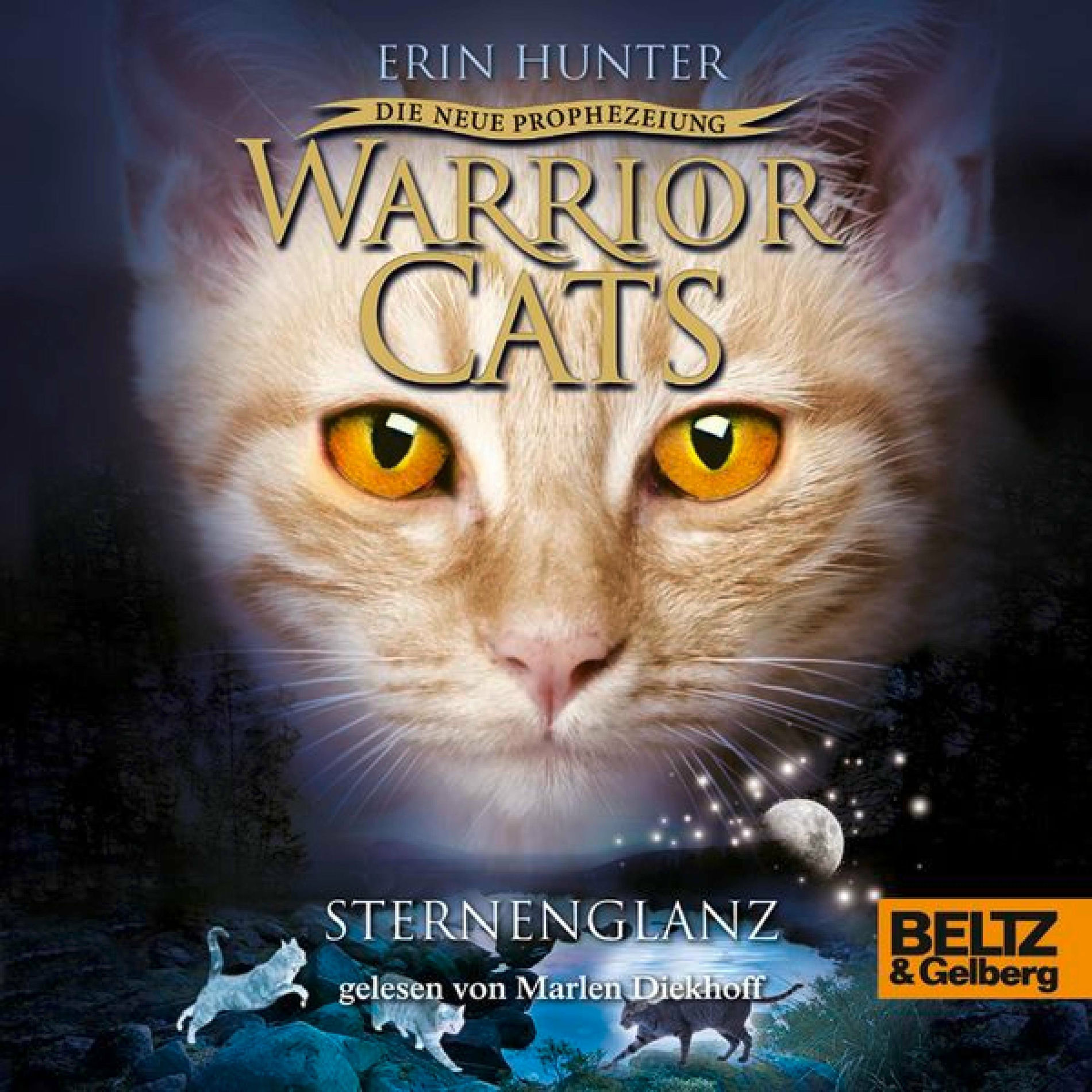 Album cover of Kapitel 1 - Warrior Cats - Die neue Prophezeiung. Sternenglanz