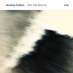 Cover of Into The Silence