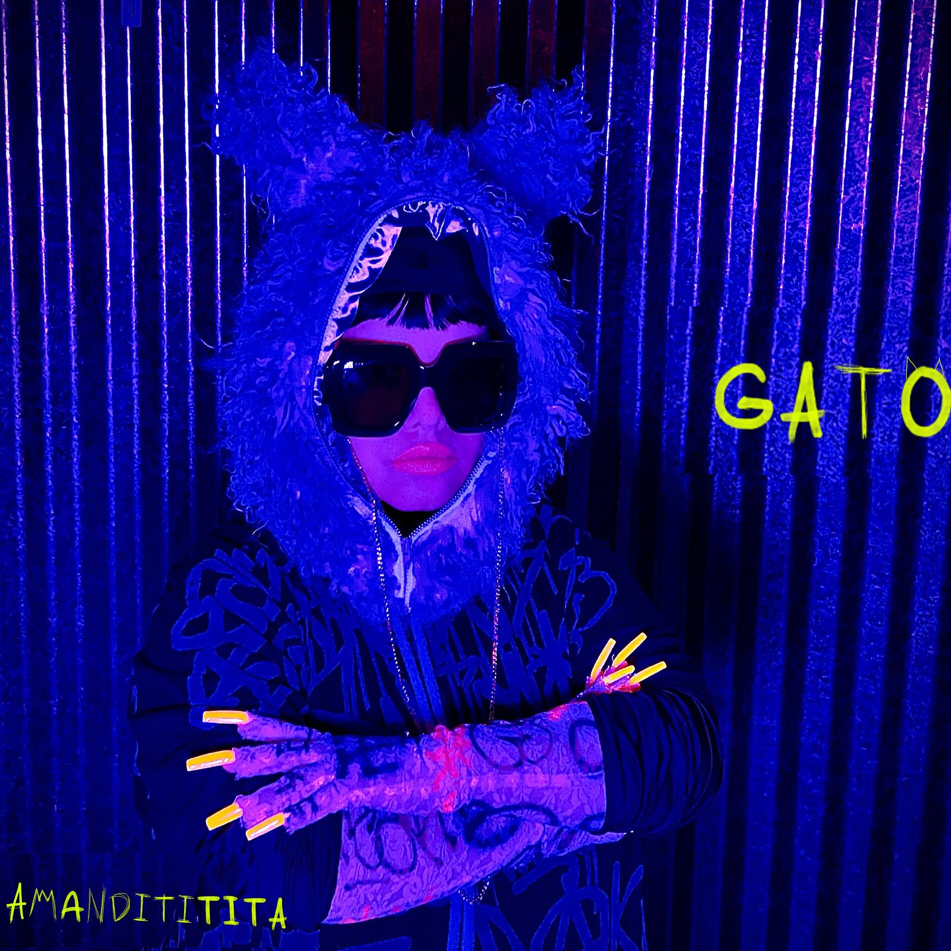 Album cover of Gato