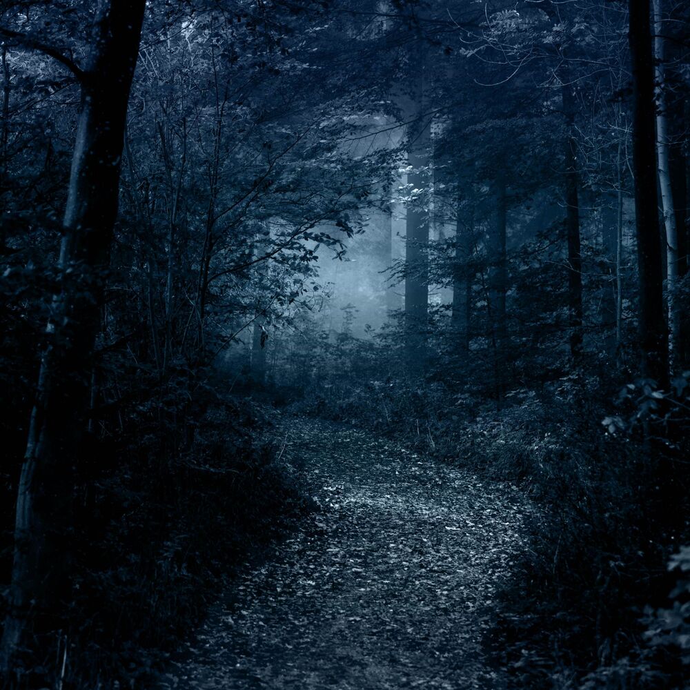 Picture of pathways